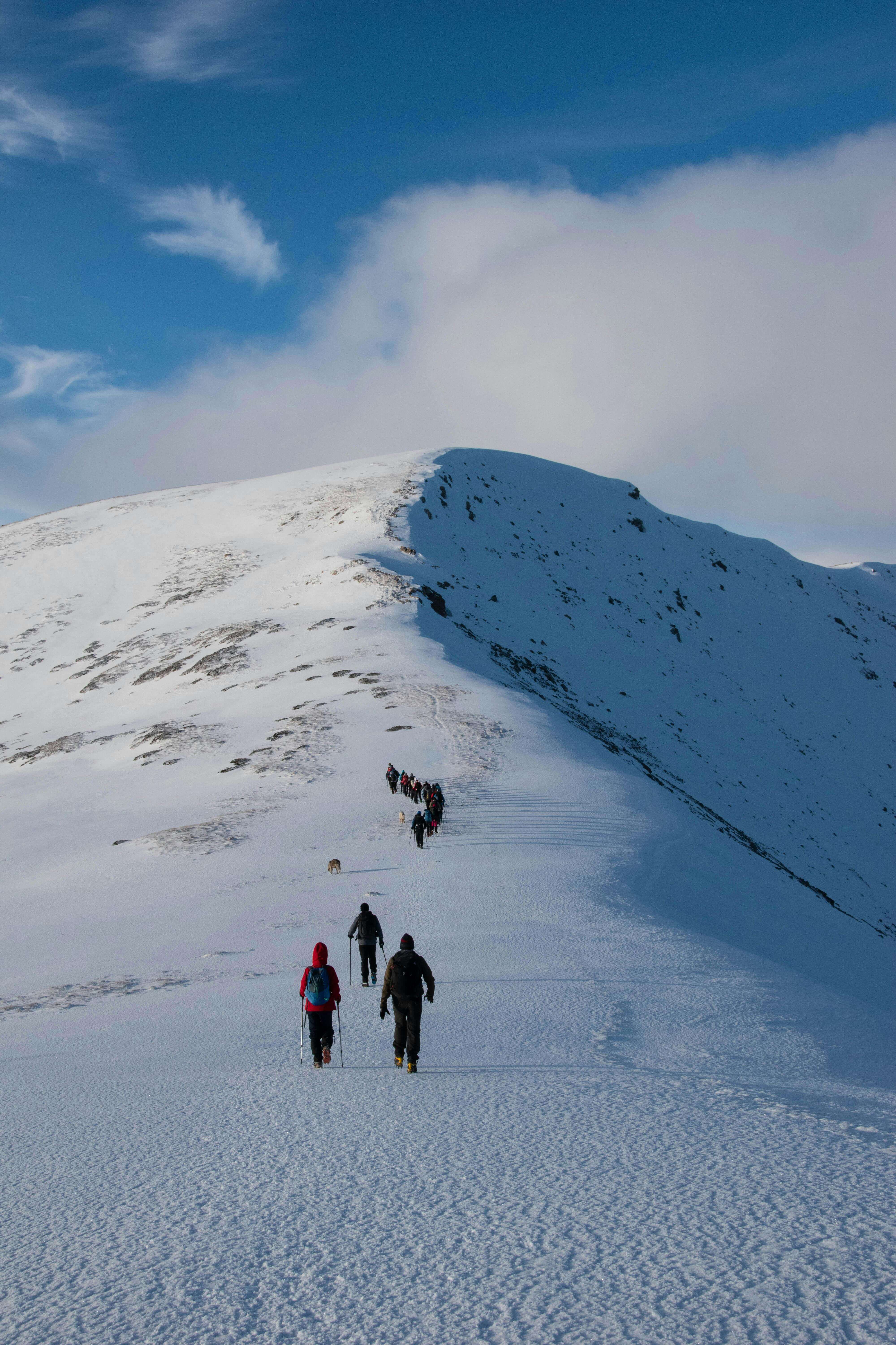 grupa alpinistów idący wzdłuż szytu ośnieżonej góry